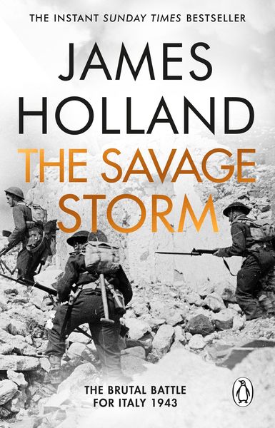 Produktbild: The Savage Storm