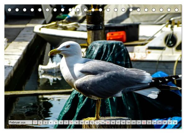 Produktbild: Chioggia - Venedigs kleine Schwester (Tischkalender 2026 DIN A5 quer), CALVENDO Monatskalender