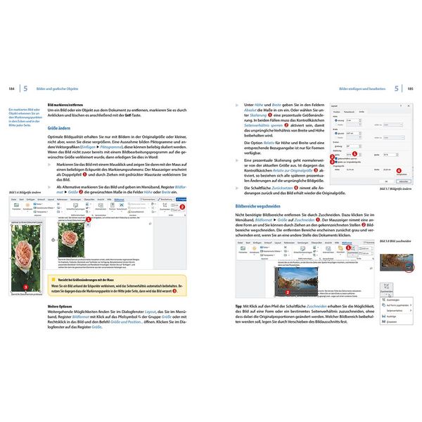 Produktbild: Word 2024 - Stufe 2: Aufbauwissen