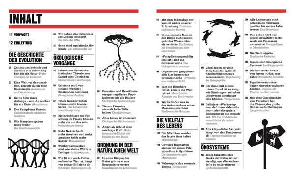 Produktbild: Big Ideas. Das &Ouml;kologie-Buch