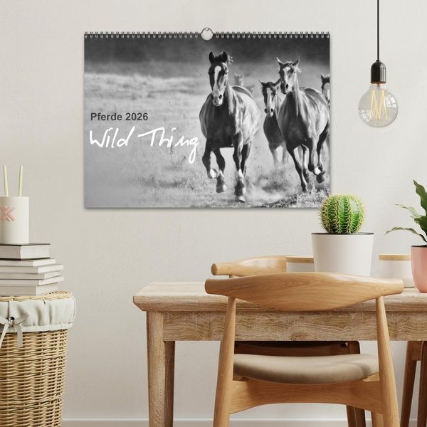 Produktbild: Pferde 2026 Wild Thing (Wandkalender 2026 DIN A3 quer), CALVENDO Monatskalender