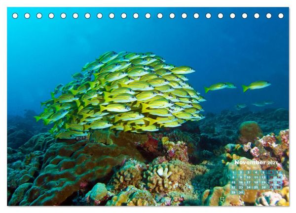 Produktbild: Oceans Alive - A World of Color and Diversity (Desk Calendar 2027 DIN A5 landscape), CALVENDO 12 Month DeskCalendar