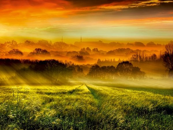 Produktbild: CALVENDO Puzzle Sonnenaufgang &uuml;ber dem Getreidefeld | 1000 Teile Lege-Gr&ouml;&szlig;e 64x48cm Foto-Puzzle f&uuml;r gl&uuml;ckliche Stunden