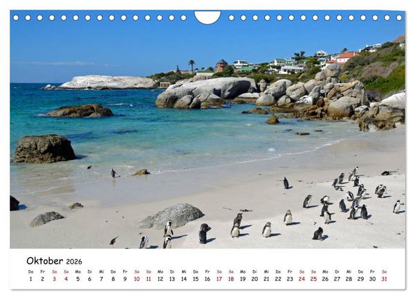 Produktbild: Natur und Landschaft. S&uuml;dliches Afrika 2026 (Wandkalender 2026 DIN A4 quer), CALVENDO Monatskalender