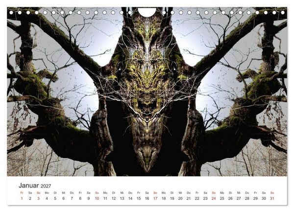 Produktbild: Spiegelwelten - Natur anders sehen (Wandkalender 2027 DIN A4 quer), CALVENDO Monatskalender
