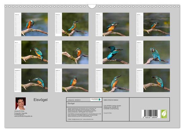 Produktbild: Eisv&ouml;gel (Wandkalender 2026 DIN A3 quer), CALVENDO Monatskalender