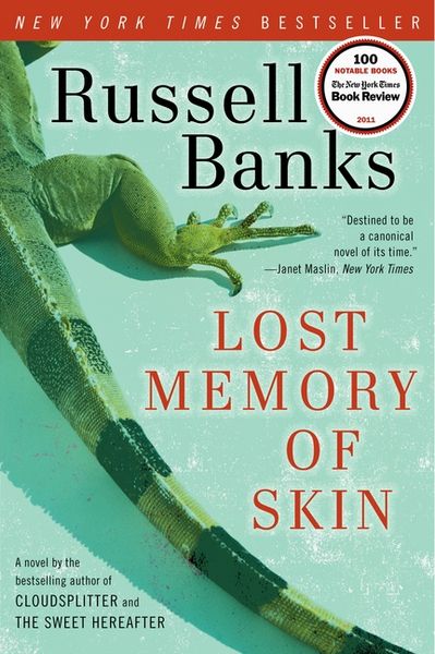Produktbild: Lost Memory of Skin