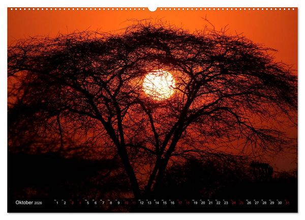 Produktbild: Afrika - Zauber der Wildnis (hochwertiger Premium Wandkalender 2026 DIN A2 quer), Kunstdruck in Hochglanz