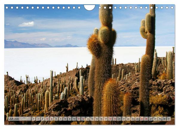 Produktbild: Abenteuer Anden - Peru und Bolivien (Wandkalender 2026 DIN A4 quer), CALVENDO Monatskalender