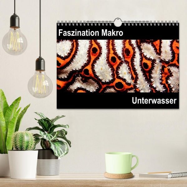 Produktbild: Faszination Makro Unterwasser (Wandkalender 2026 DIN A4 quer), CALVENDO Monatskalender