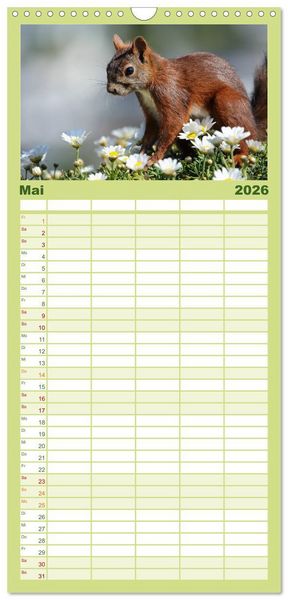 Produktbild: Familienplaner 2026 - Eichh&ouml;rnchen Momentaufnahmen f&uuml;rs Herz mit 5 Spalten (Wandkalender, 21 x 45 cm) CALVENDO