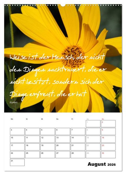 Produktbild: Spr&uuml;che und Weisheiten f&uuml;r&acute; s Jahr (Wandkalender 2026 DIN A2 hoch), CALVENDO Monatskalender