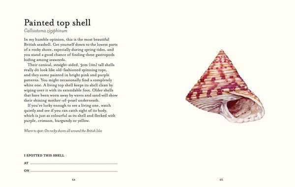 Produktbild: The Shell-Spotter's Guide
