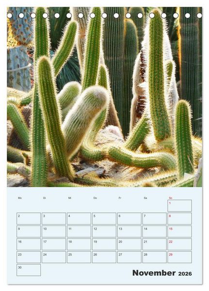 Produktbild: Wehrhafte Sukkulenten (Tischkalender 2026 DIN A5 hoch), CALVENDO Monatskalender