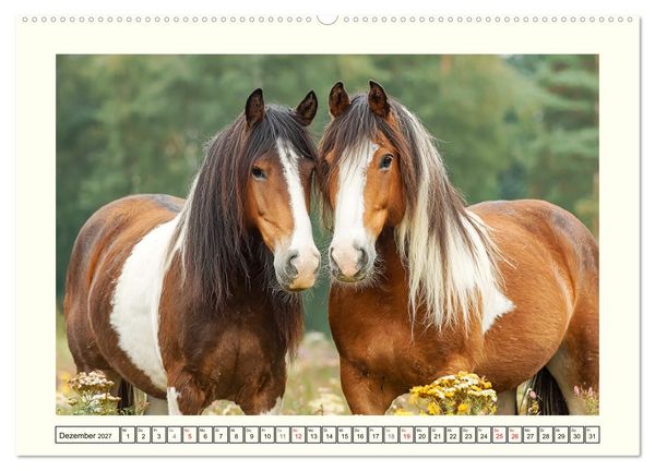 Produktbild: Irlands Pferde. Irish Tinker zwischen Weiden, Wasser und Wald (Wandkalender 2027 DIN A2 quer), CALVENDO Monatskalender
