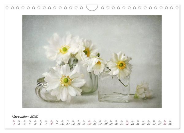 Produktbild: Kleine Bl&uuml;tenwunder (Wandkalender 2026 DIN A4 quer), CALVENDO Monatskalender