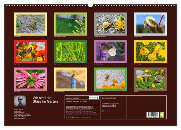 Produktbild: Wir sind die Stars im Garten (Wandkalender 2026 DIN A2 quer), CALVENDO Monatskalender