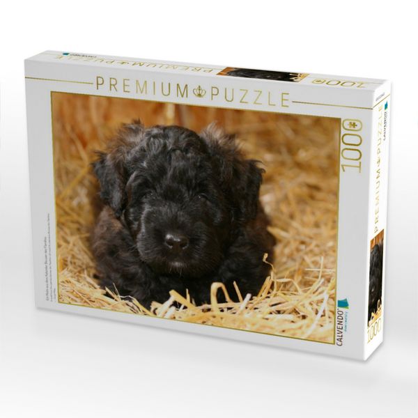 Produktbild: CALVENDO Puzzle Ein Motiv aus dem Kalender Bouvier des Flandres | 1000 Teile Lege-Gr&ouml;&szlig;e 64x48cm Foto-Puzzle f&uuml;r gl&uuml;ckliche Stunden
