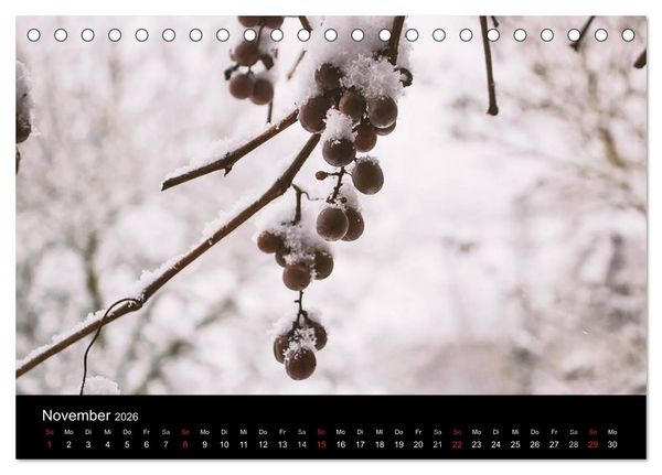 Produktbild: Meine Heimat Westerwald (Tischkalender 2026 DIN A5 quer), CALVENDO Monatskalender