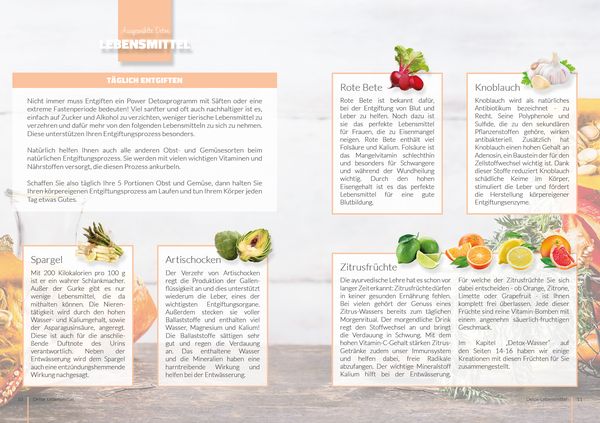 Produktbild: Detox Di&auml;tplan - Ern&auml;hrungsplan zum Abnehmen f&uuml;r 30 Tage