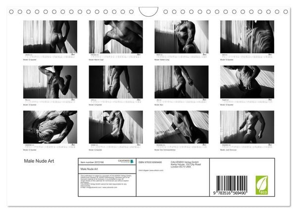Produktbild: Male Nude Art (Wall Calendar 2026 DIN A4 landscape), CALVENDO 12 Month Wall Calendar