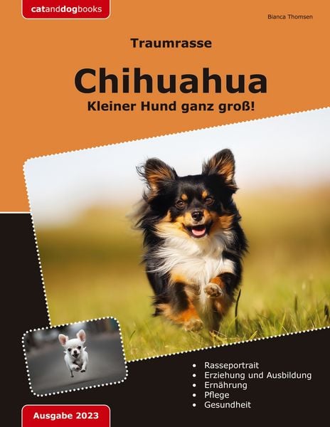 Produktbild: Traumrasse: Chihuahua