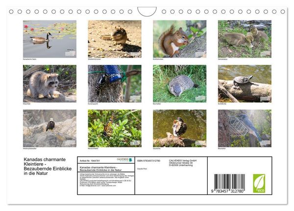 Produktbild: Kanadas charmante Kleintiere - Bezaubernde Einblicke in die Natur (Wandkalender 2026 DIN A4 quer), CALVENDO Monatskalender