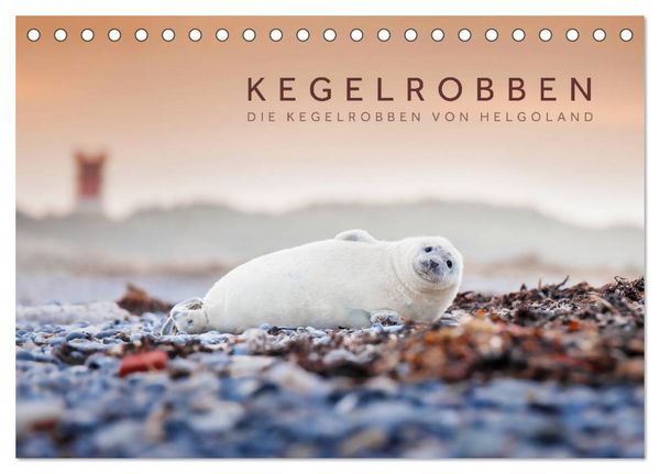 Produktbild: Kegelrobben - Die Kegelrobben von Helgoland (Tischkalender 2026 DIN A5 quer), CALVENDO Monatskalender