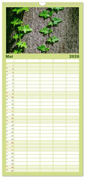Produktbild: Familienplaner 2026 - Auw&auml;lder bei Enns mit 5 Spalten (Wandkalender, 21 x 45 cm) CALVENDO