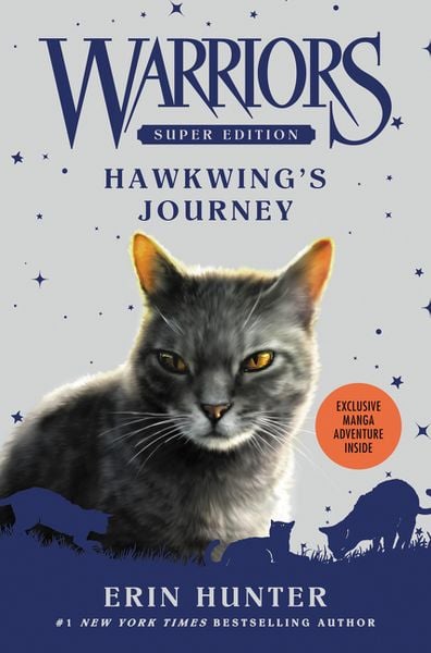 Produktbild: Hawkwing''s Journey