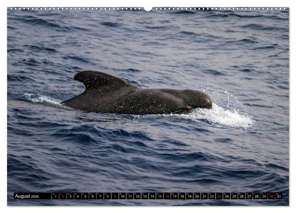 Produktbild: La Gomera Sonne, Meer und Vulkane (hochwertiger Premium Wandkalender 2026 DIN A2 quer), Kunstdruck in Hochglanz
