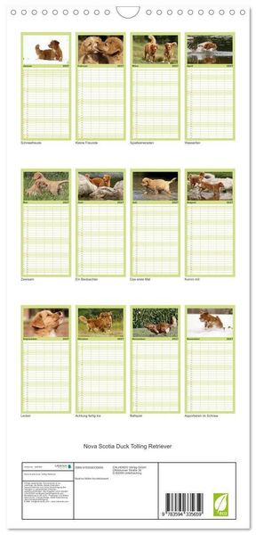 Produktbild: Familienplaner 2027 - Nova Scotia Duck Tolling Retriever mit 5 Spalten (Wandkalender, 21 x 45 cm) CALVENDO