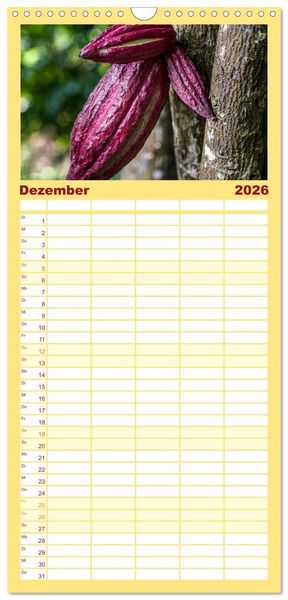 Produktbild: Familienplaner 2026 - Fr&uuml;chte der Karibik mit 5 Spalten (Wandkalender, 21 x 45 cm) CALVENDO