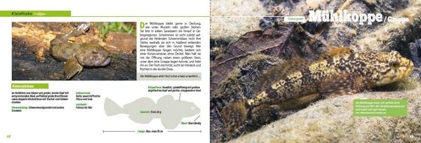 Produktbild: Angler-Lexikon der S&uuml;&szlig;wasserfische
