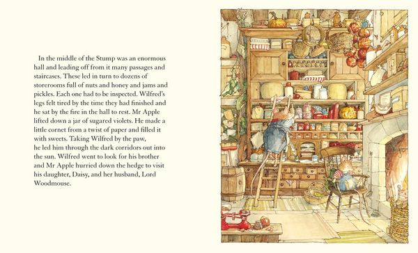 Produktbild: Spring Story_brambly Hedge Hb