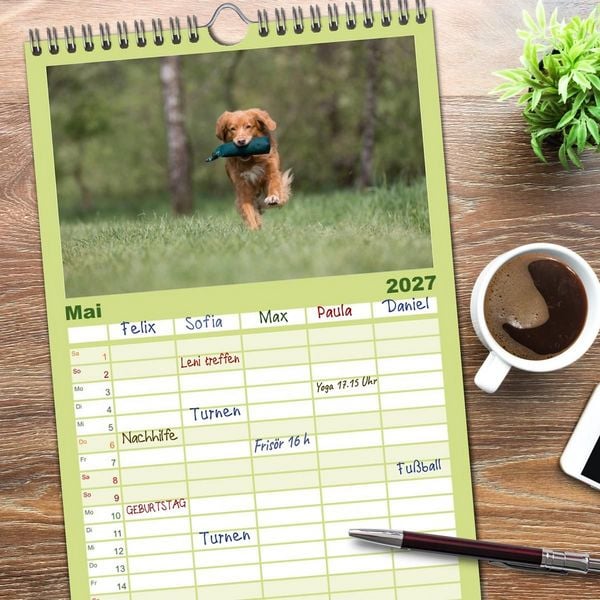 Produktbild: Familienplaner 2027 - Toller - Nova Scotia Duck Tolling Retriever mit 5 Spalten (Wandkalender, 21 x 45 cm) CALVENDO