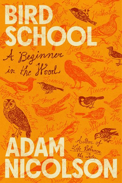 Bird School