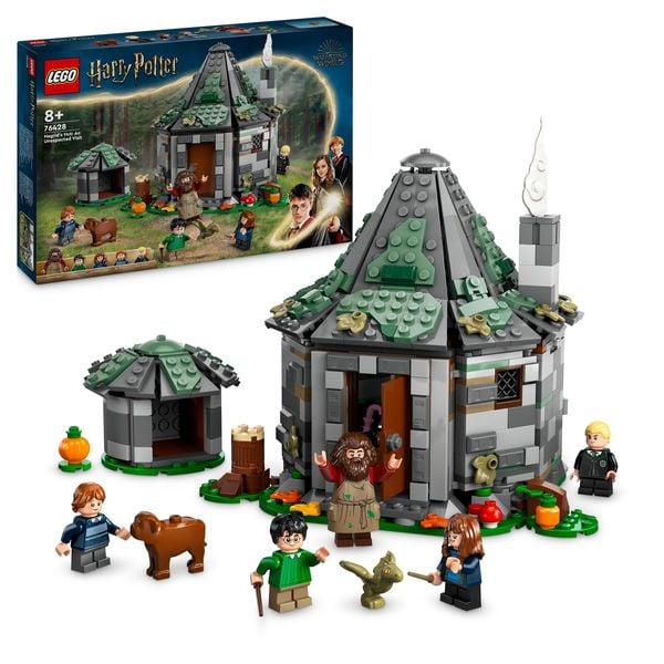 LEGO Harry Potter 76428 Hagrids Hütte: Ein unerwarteter Besuch Spielzeug