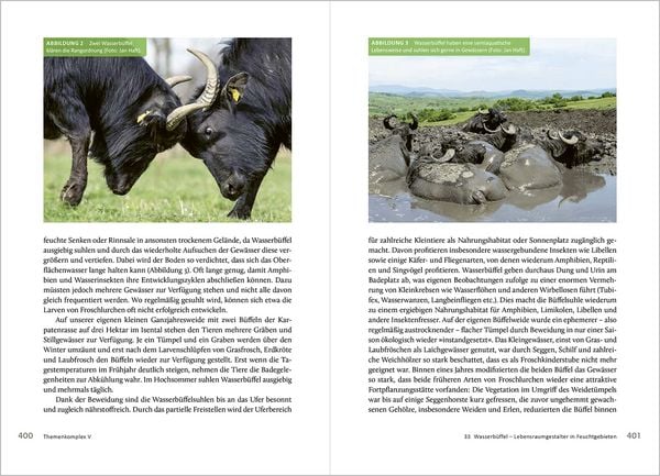 Produktbild: Die R&uuml;ckkehr der gro&szlig;en Pflanzenfresser