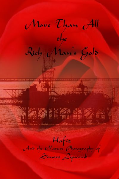 Produktbild: More Than All the Rich Man's Gold: Hafiz and the Nature Photography of Simone Lipscomb