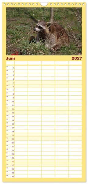 Produktbild: Familienplaner 2027 - Waschb&auml;ren mit 5 Spalten (Wandkalender, 21 x 45 cm) CALVENDO