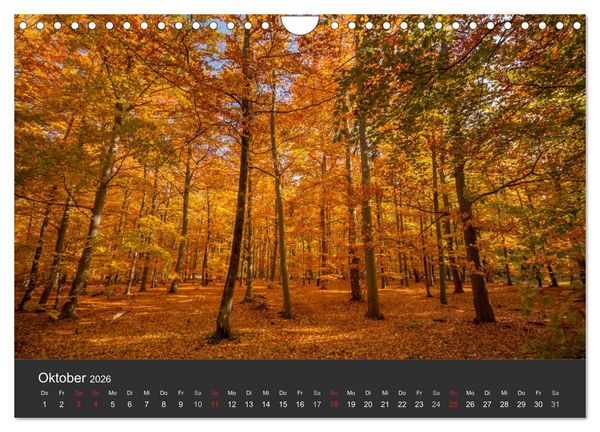 Produktbild: Mecklenburg-Vorpommern (Wandkalender 2026 DIN A4 quer), CALVENDO Monatskalender