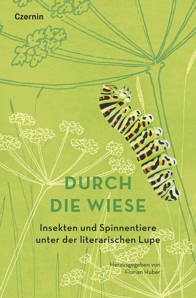 Produktbild: Durch die Wiese