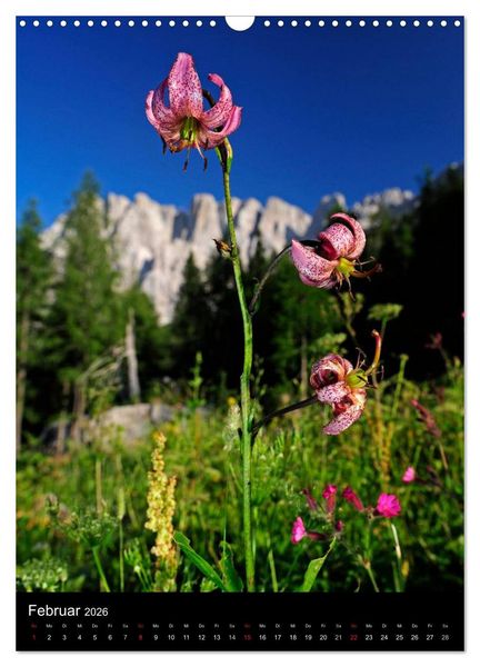 Produktbild: WILDBLUMEN (Wandkalender 2026 DIN A3 hoch), CALVENDO Monatskalender