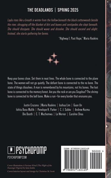 Produktbild: The Deadlands - Issue 38