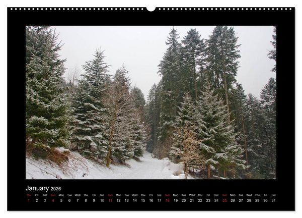 Produktbild: The Black Forest - UK Version (High Quality Premium Wall Calendar 2026 DIN A2 landscape),CALVENDO 12 Month Wall Calendar