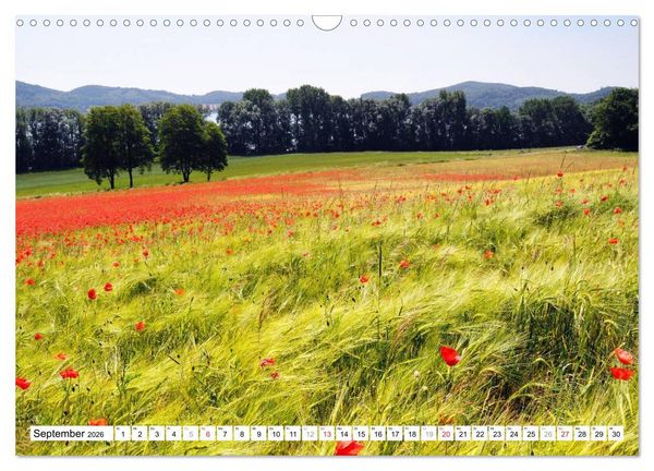 Produktbild: Naturlandschaft Laacher See (Wandkalender 2026 DIN A3 quer), CALVENDO Monatskalender