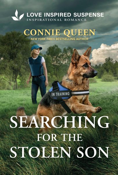 Produktbild: Searching for the Stolen Son