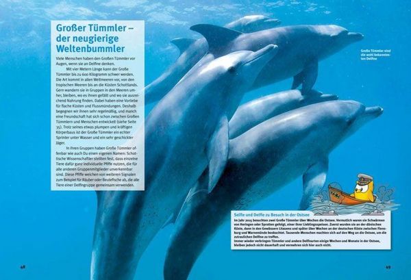 Produktbild: Entdecke die Delfine