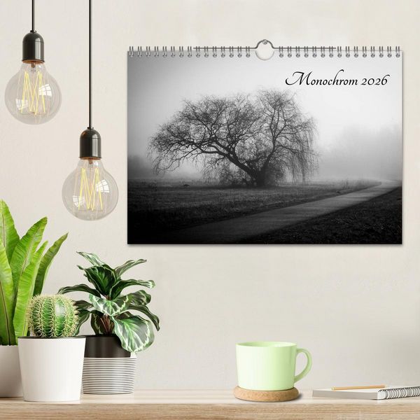Produktbild: Monochrom 2026 (Wandkalender 2026 DIN A4 quer), CALVENDO Monatskalender